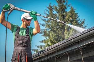 Gutter Cleaning